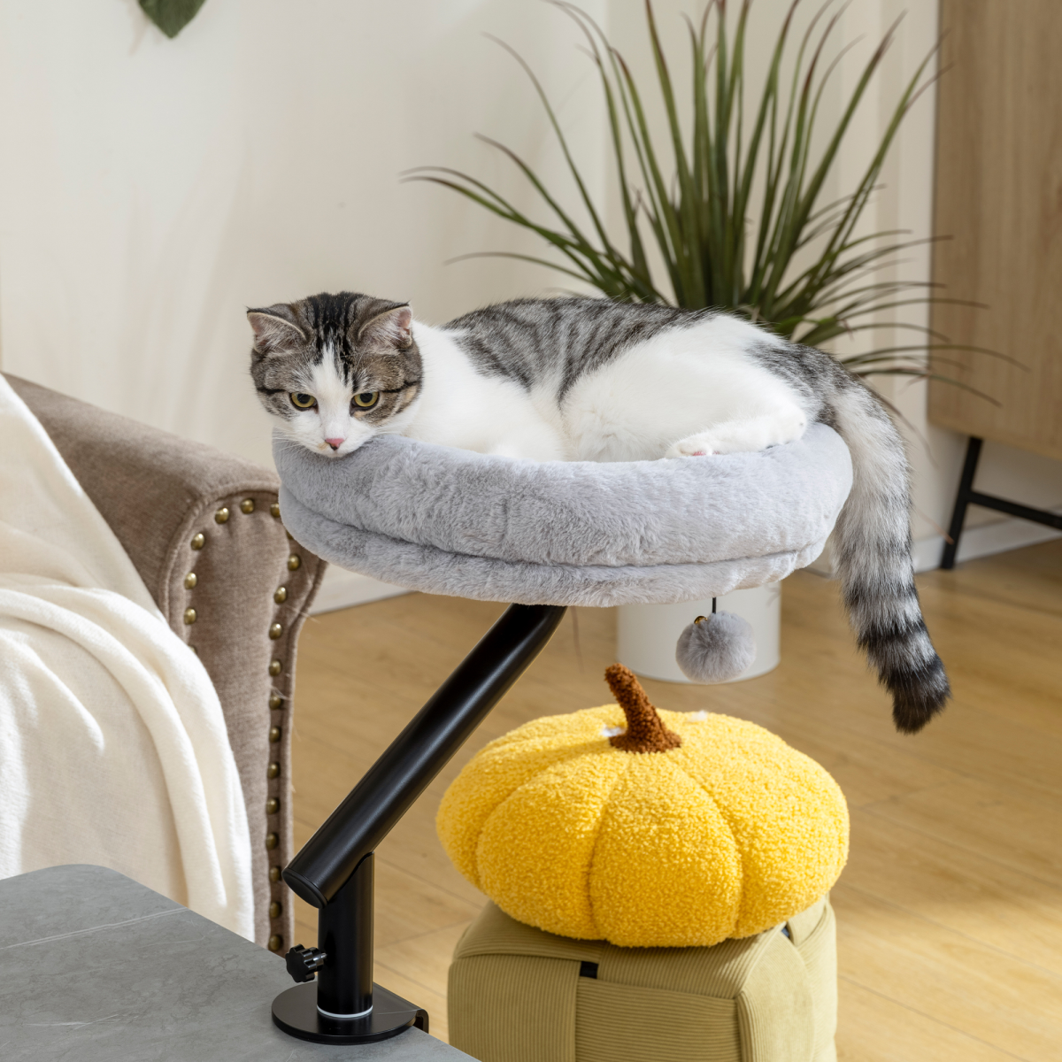 360° Rotating Desk Cat Bed & Adjustable Hammock