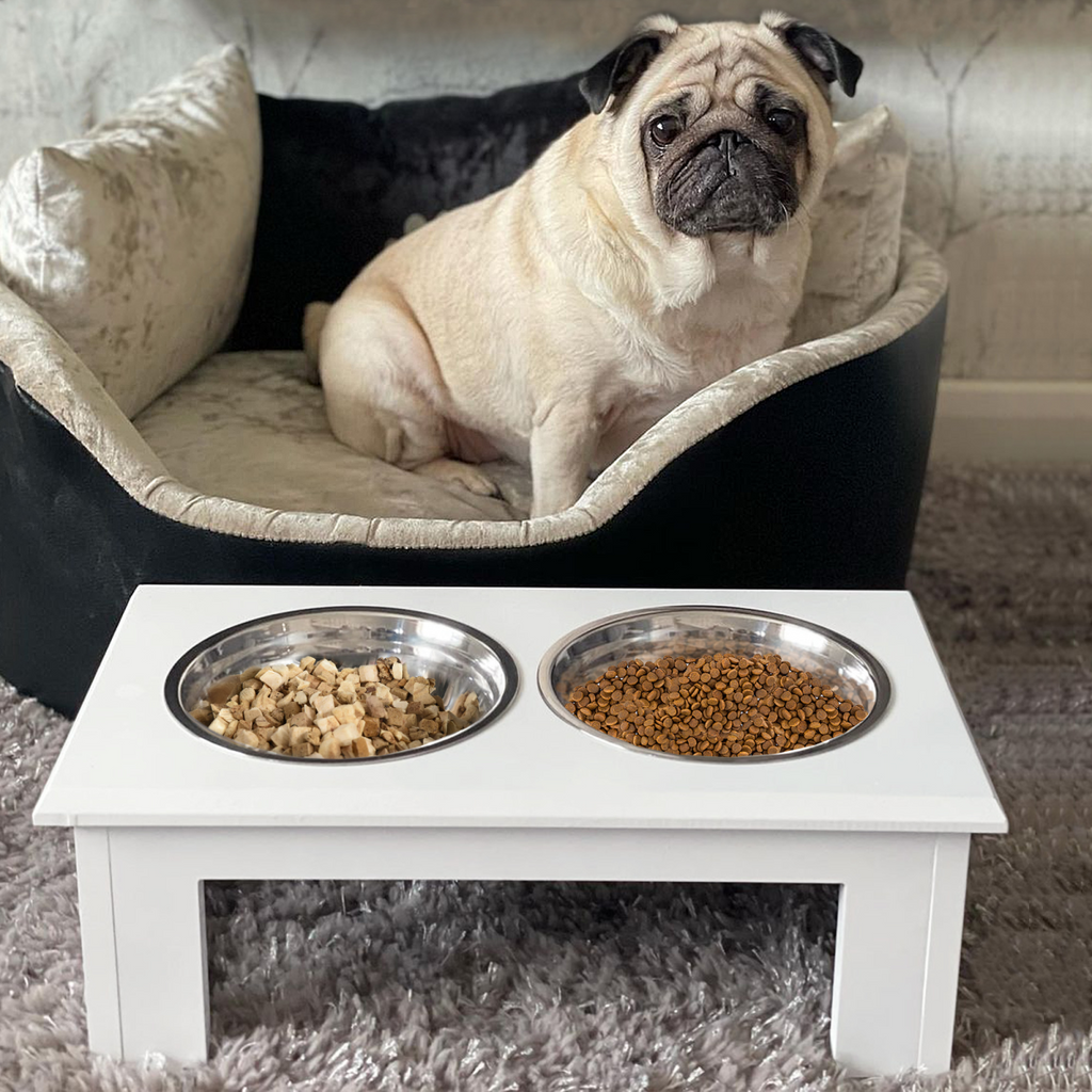 Elevated Stainless Steel Dog & Cat Feeding Bowls