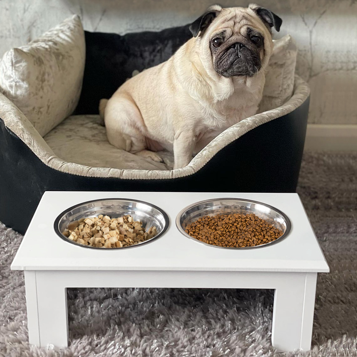 Elevated Stainless Steel Dog & Cat Feeding Bowls