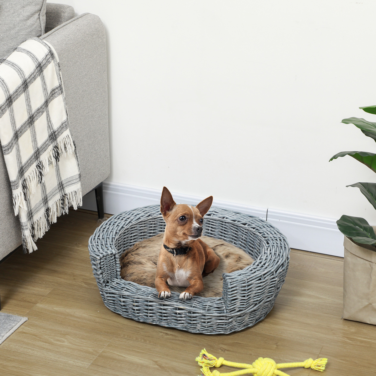 Elevated Wicker Pet Sofa Bed for Dogs & Cats