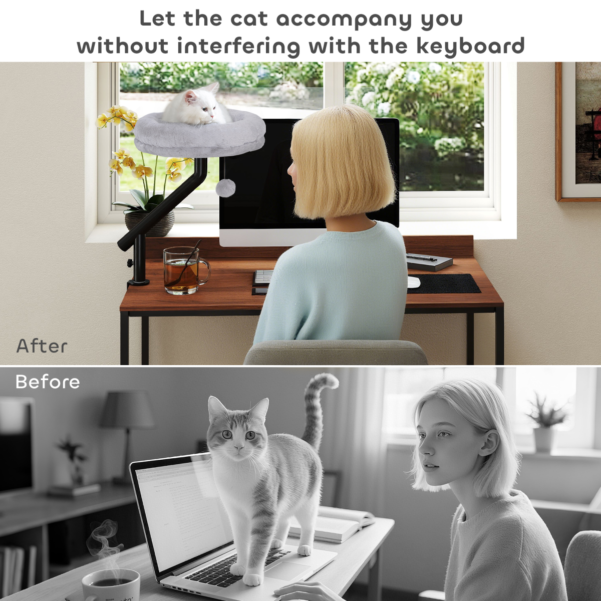 360° Rotating Desk Cat Bed & Adjustable Hammock