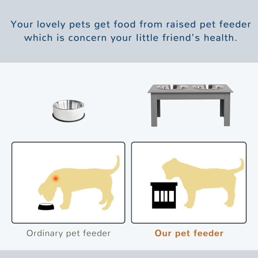 Raised Stainless Steel Pet Feeder for Dogs & Cats