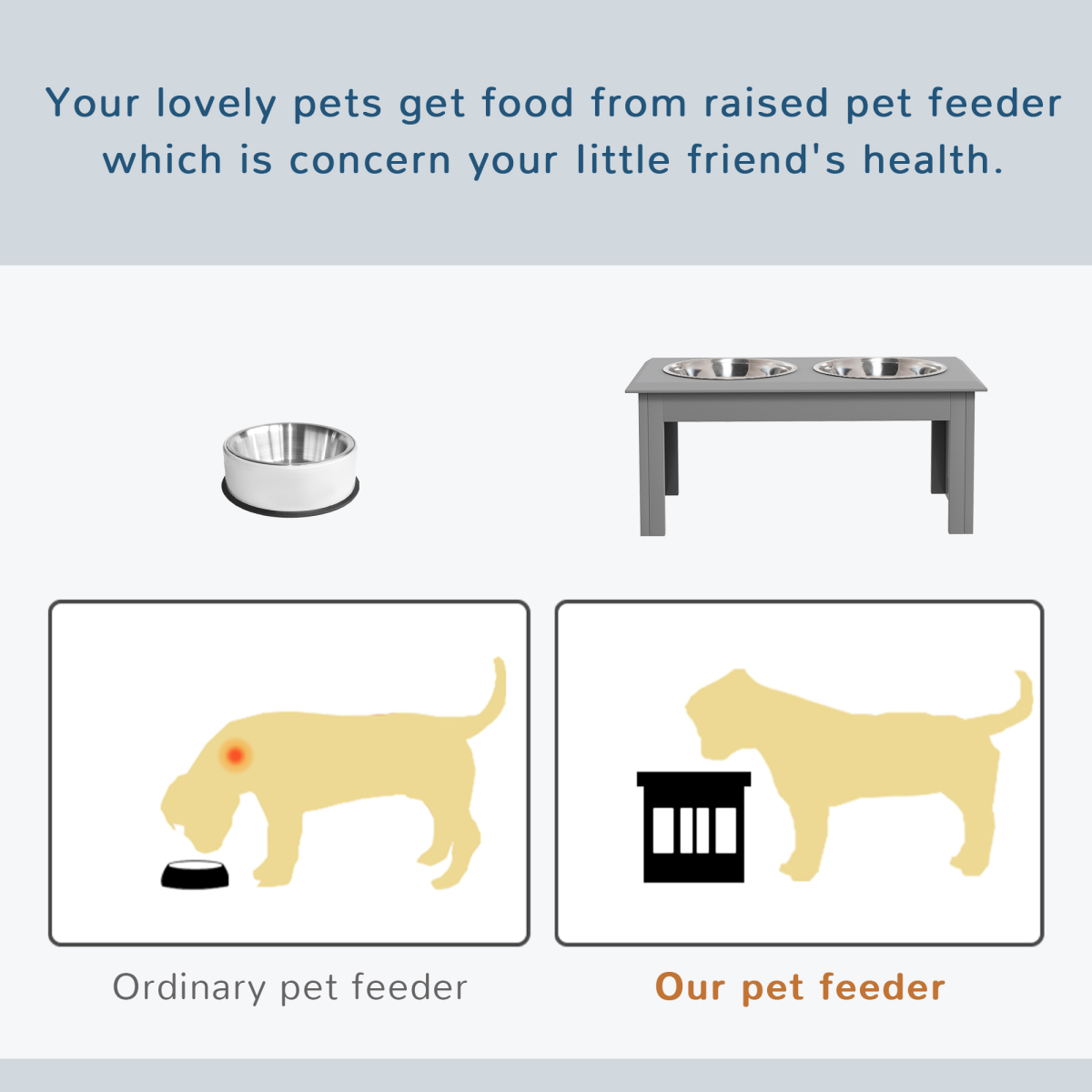 Raised Stainless Steel Pet Feeder for Dogs & Cats