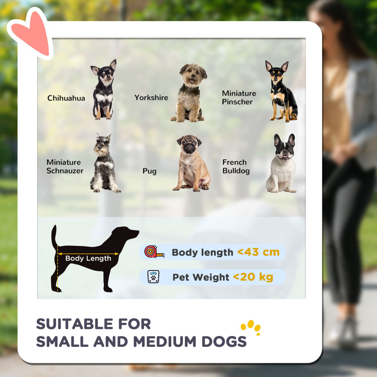 3-Wheel Foldable Pet Stroller for Dogs & Cats | Petmelle