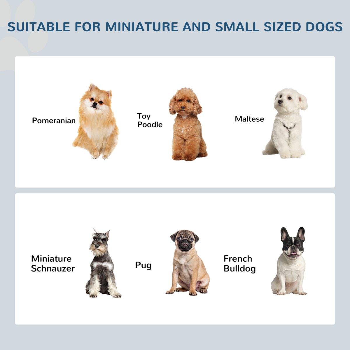 Elevated Stainless Steel Dog & Cat Feeding Bowls