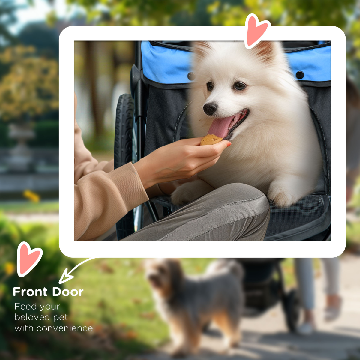 3-Wheel Foldable Pet Stroller for Dogs & Cats | Petmelle