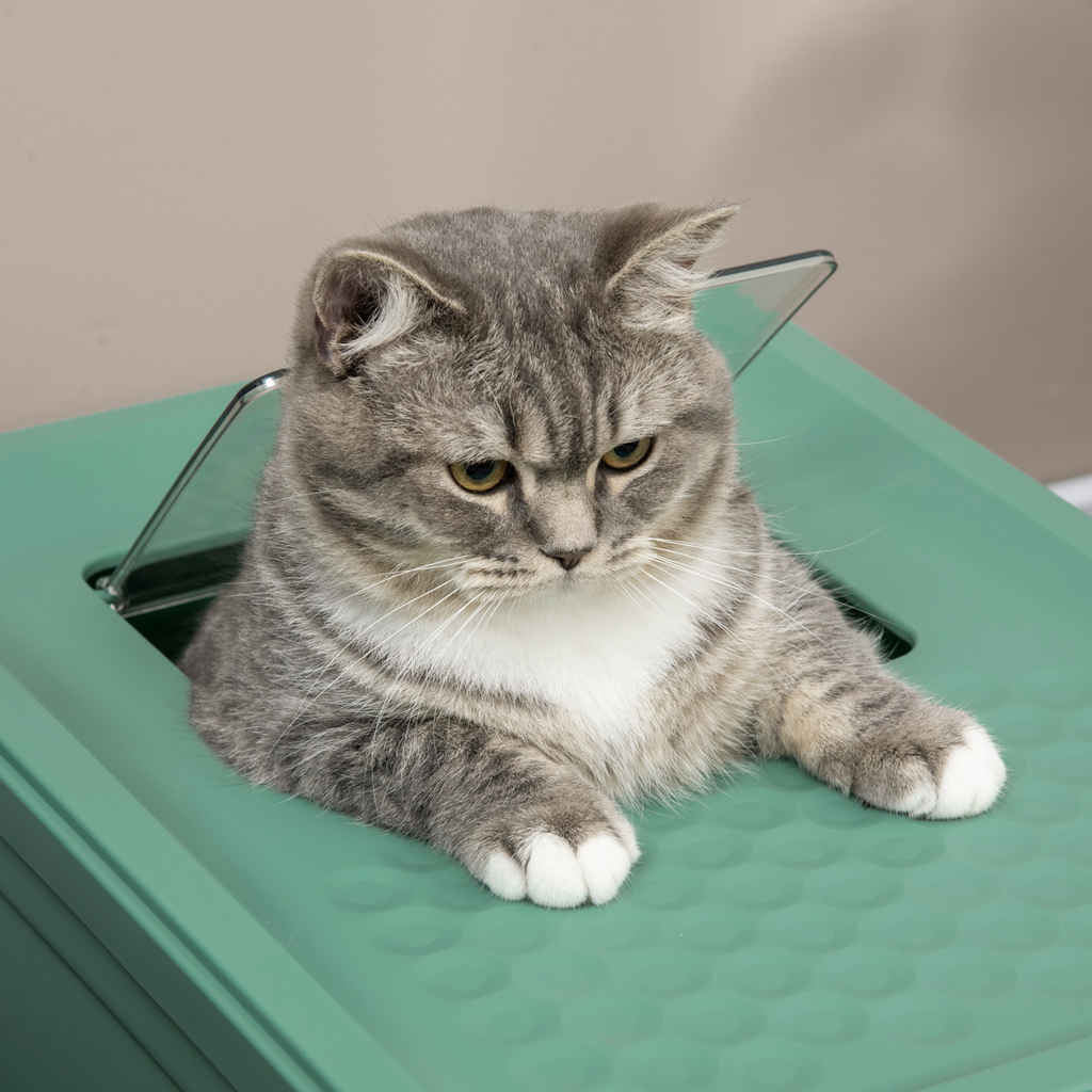 Portable Hooded Cat Litter Box with Scoop – Green