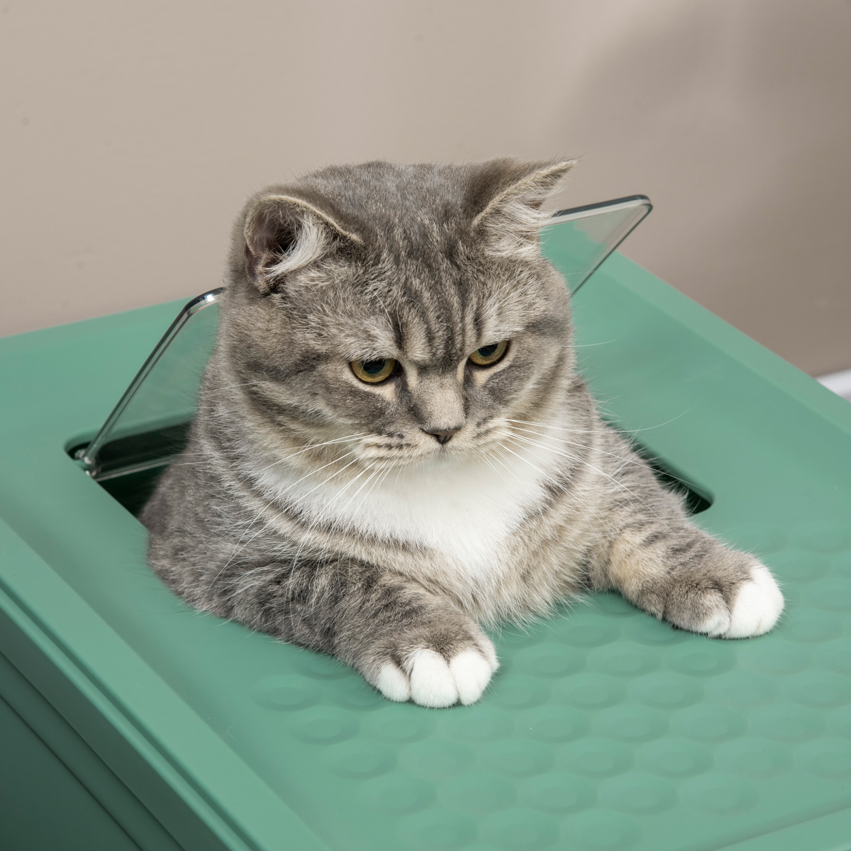 Portable Hooded Cat Litter Box with Scoop – Green