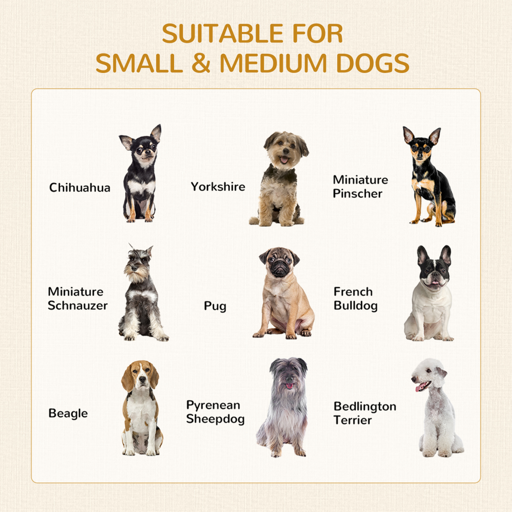 Grey Double-Door Furniture Dog Crate for Medium Dogs
