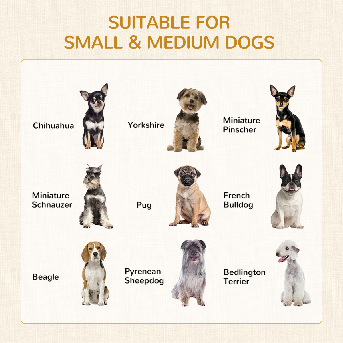 Grey Double-Door Furniture Dog Crate for Medium Dogs