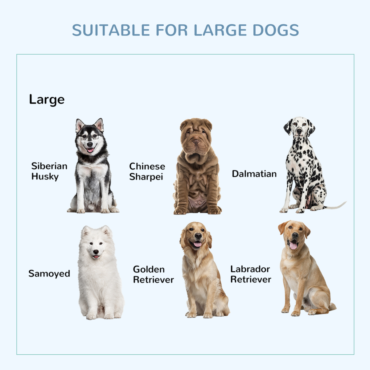 Heavy-Duty Metal Dog Crate with Wheels & Removable Tray