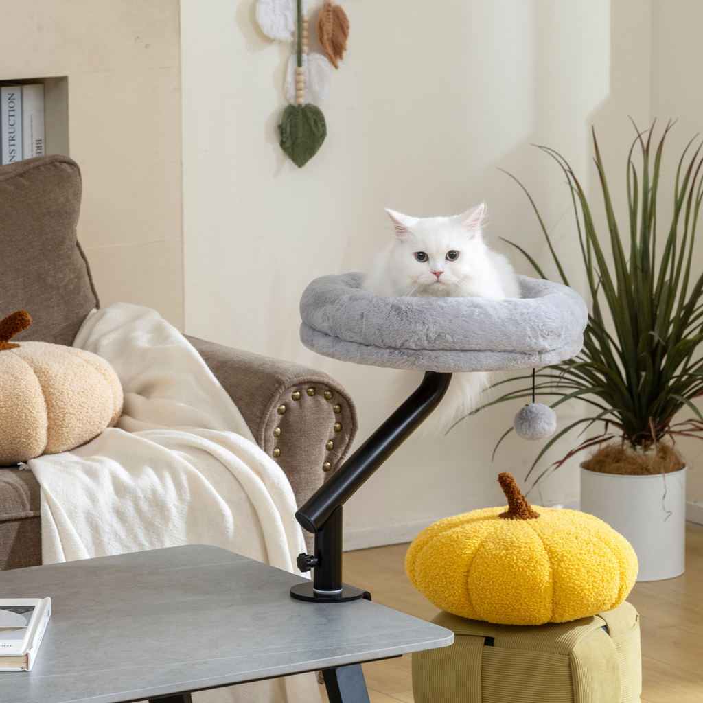 360° Rotating Desk Cat Bed & Adjustable Hammock