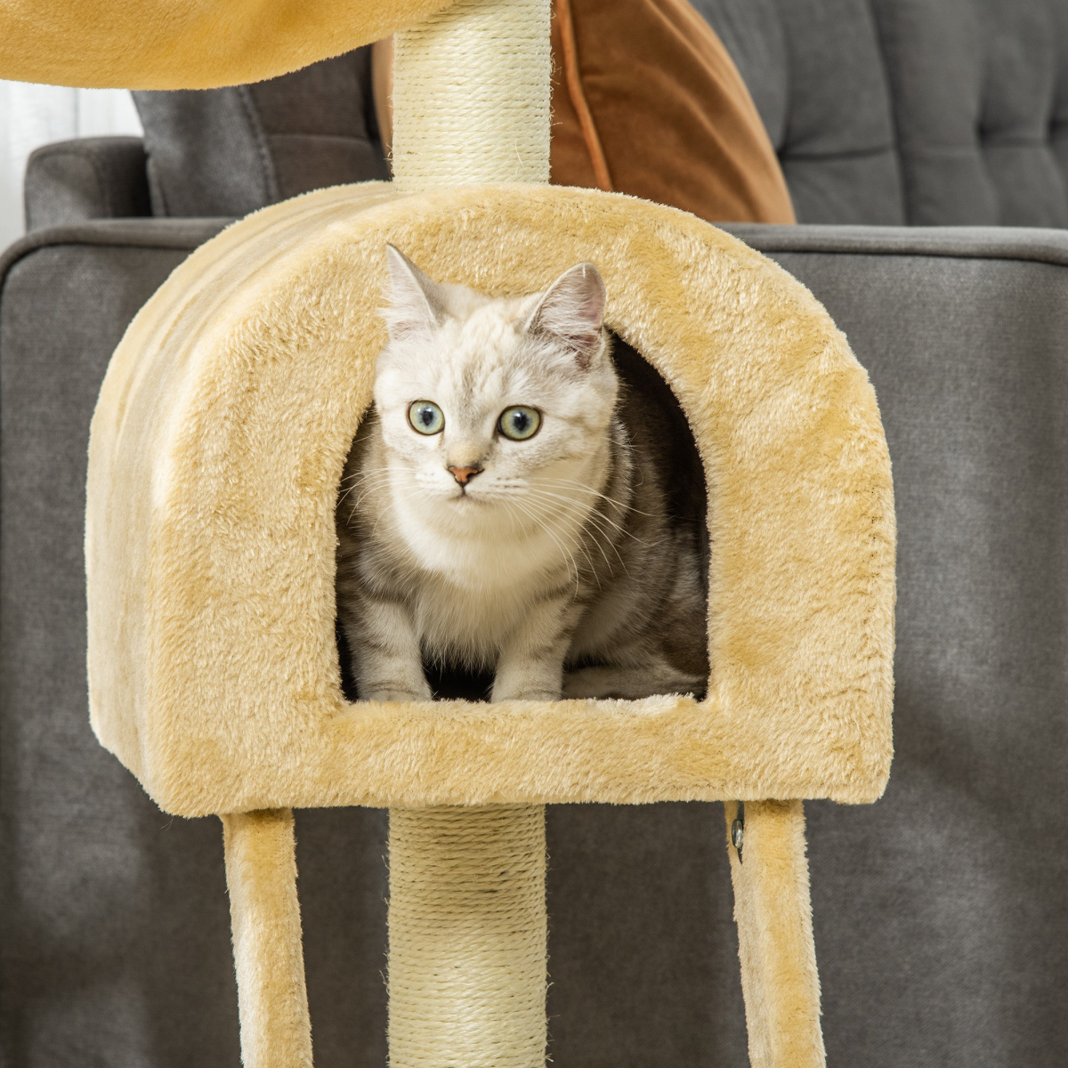 Indoor Cat Tree with Hammock, House & Scratching Post | Petmelle